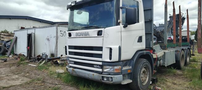 Scania do drzewa lasu