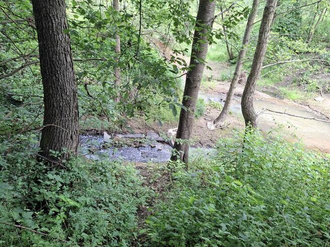 Sprzedam działkę Rod