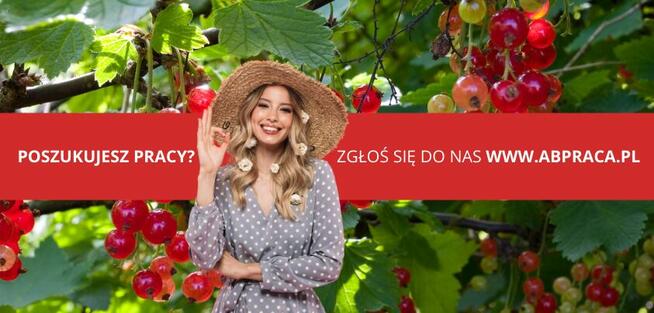 PRACA PRZY ZBIORZE PORZECZEK (M/K)