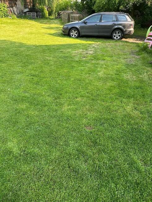 Koszenie trawy i żywopłotów – Lublin i okolice, faktura