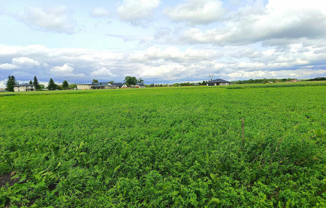 Działki budowlane Łapiguz