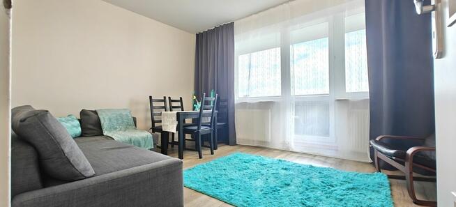 Kupujący nie płaci prowizji