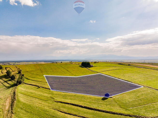 Działka leśna w Jabłonce- widok Babia Góra!
