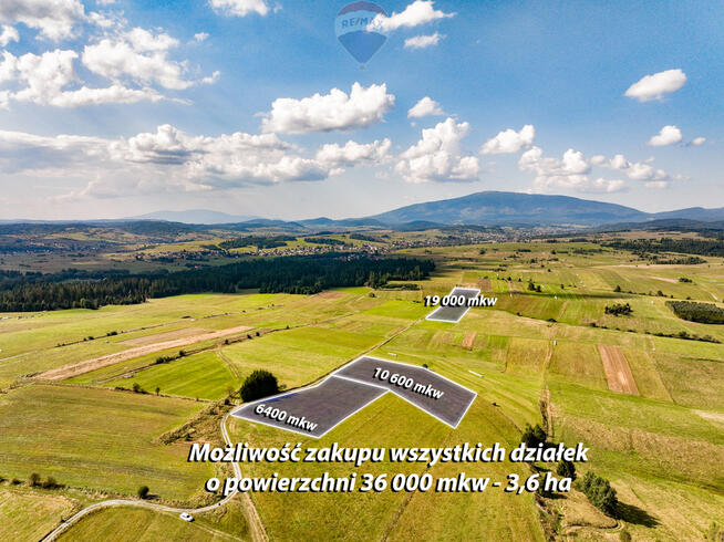 Działka leśna w Jabłonce- widok Babia Góra!