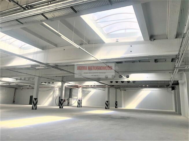 RYBITWY HALA PRODUKCJA MAGAZYN ok. 1437 m2, biura