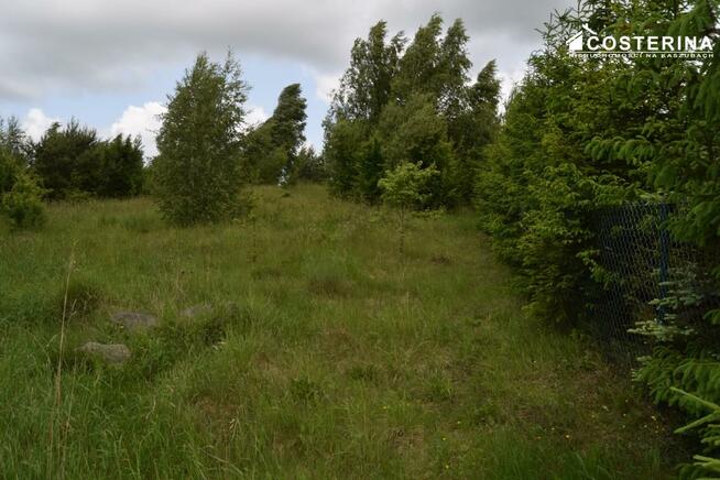 Działka rekreacyjna Nowe Polaszki gm. Stara Kiszewa