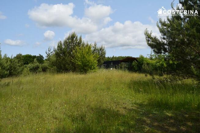 Działka rekreacyjna Nowe Polaszki gm. Stara Kiszewa