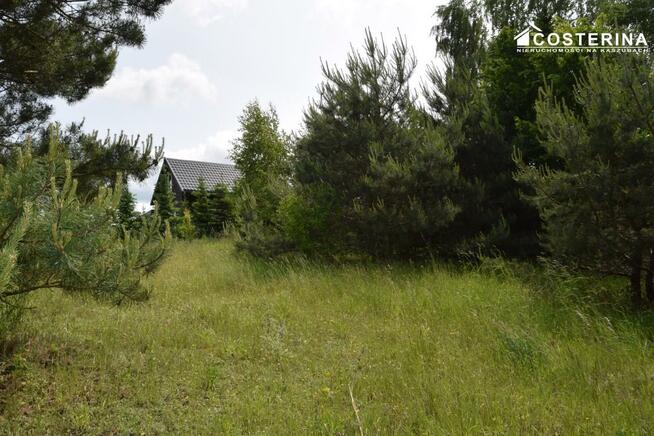 Działka rekreacyjna Nowe Polaszki gm. Stara Kiszewa