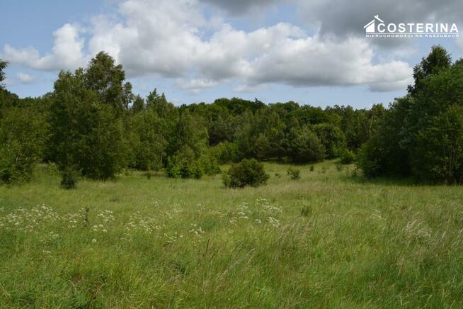 Działka rekreacyjna Nowe Polaszki gm. Stara Kiszewa