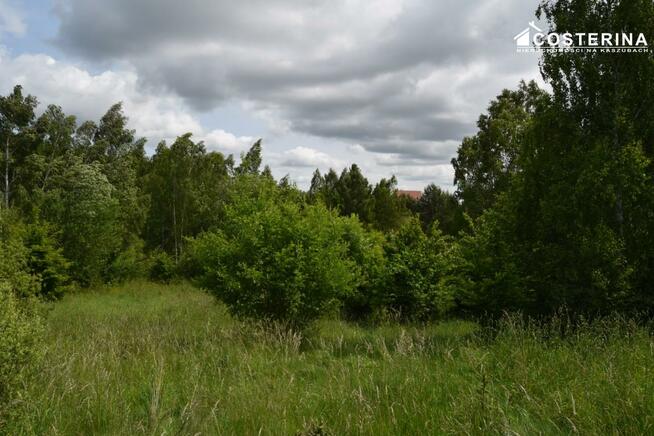 Działka rekreacyjna Nowe Polaszki gm. Stara Kiszewa