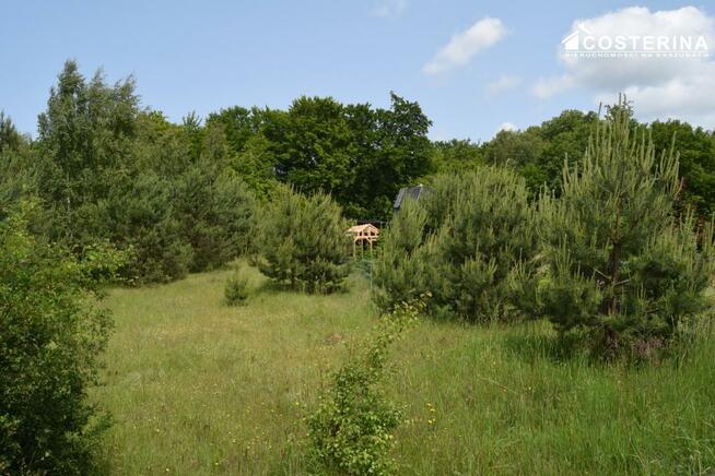 Działka rekreacyjna Nowe Polaszki gm. Stara Kiszewa