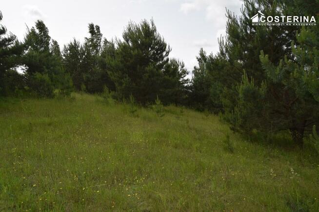 Działka rekreacyjna Nowe Polaszki gm. Stara Kiszewa