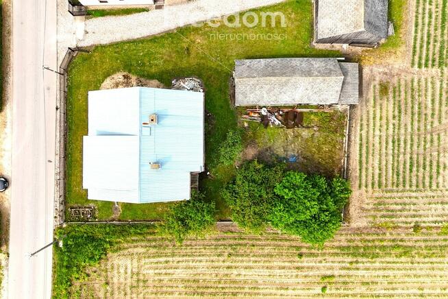 Siedlisko z potencjałem w zielonej okolicy