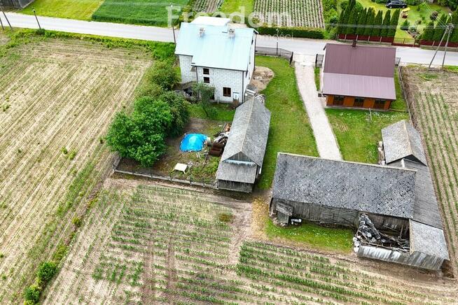 Siedlisko z potencjałem w zielonej okolicy