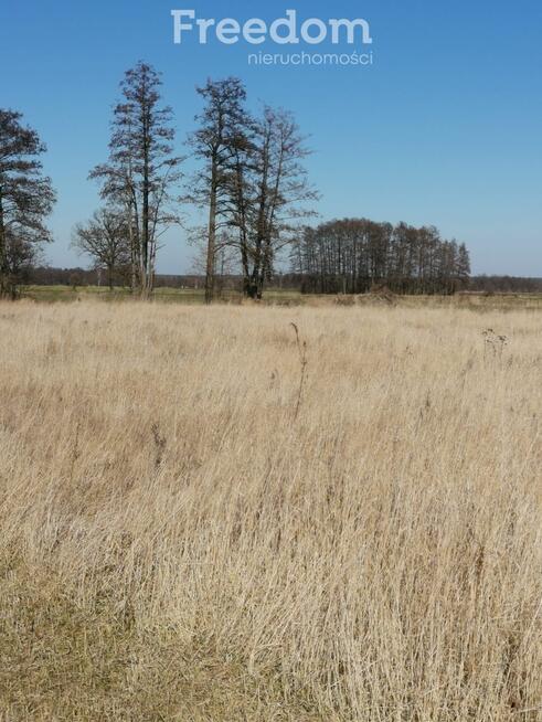 Uzbrojona działka budowlana 2500 m2 okazja cenowa