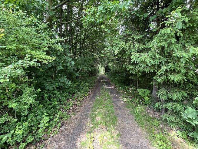 Działka Budowlana w Mościbrodach