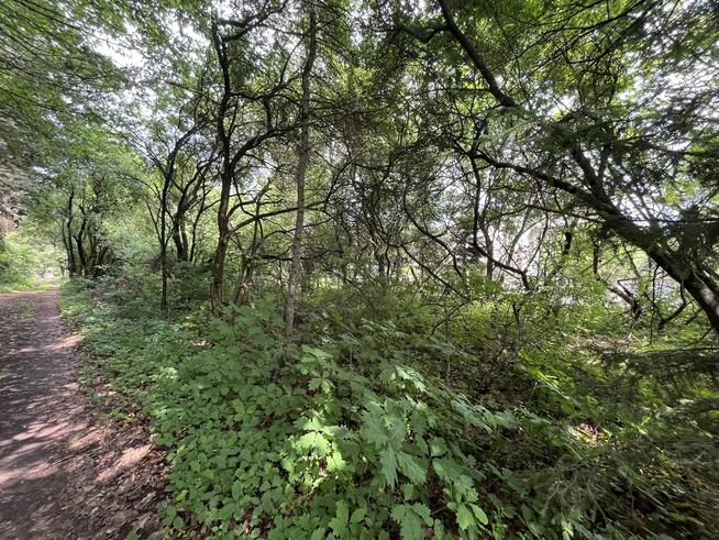 Działka Budowlana w Mościbrodach