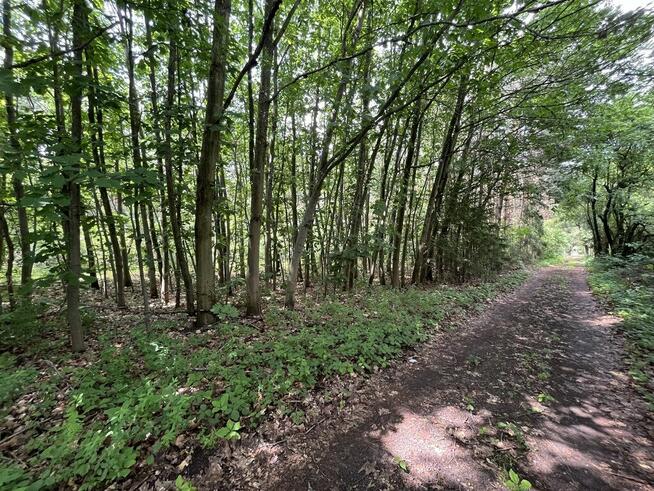 Działka Budowlana w Mościbrodach