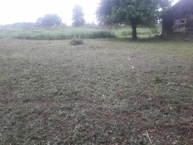 Dom drewniany do remontu na działce po lasem ,prąd ,woda