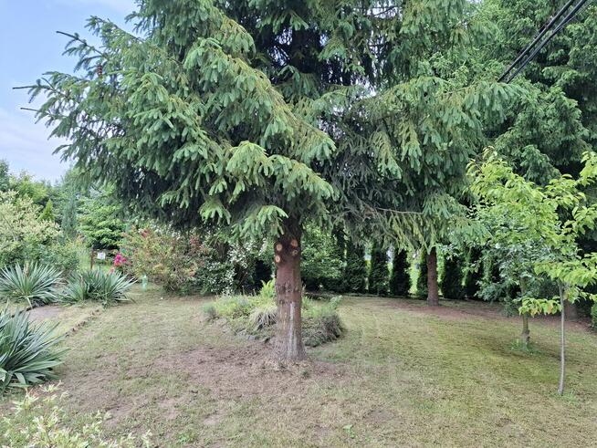 Sprzedam działkę Rod