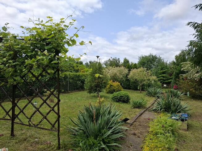 Sprzedam działkę Rod