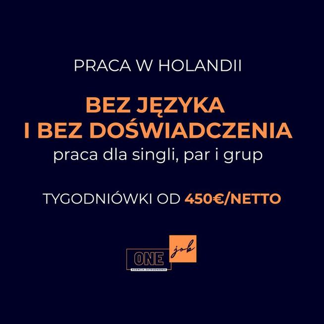 PRACA W HOLANDII bez języka i bez doświadczenia