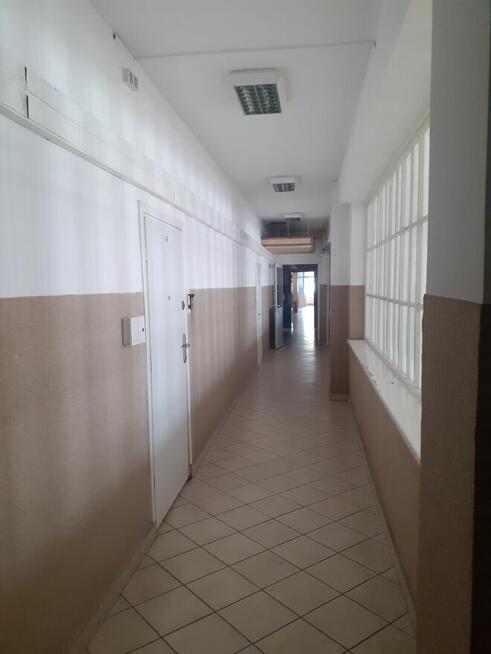 Do wynajęcia lokale użytkowe