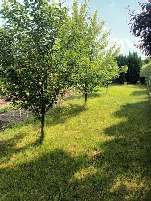 Super Okazja - Sprzedam Działkę Rekreacyjną