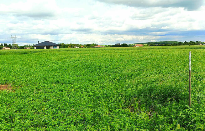 Działki budowlane Łapiguz