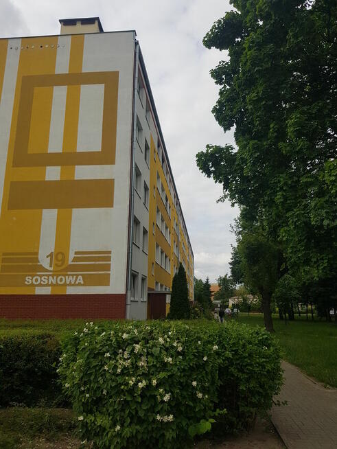 Mieszkanie 3 pokojowe -parter -Sosnowa - Konin