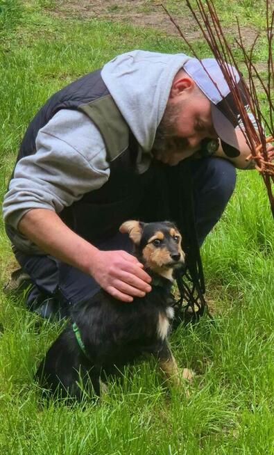 Mania , psie dziecko z cmentarza szuka domu