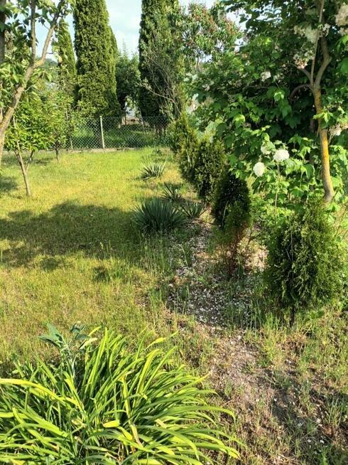 Super Okazja - Sprzedam Działkę Rekreacyjną