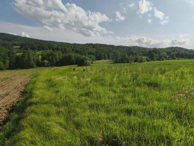 Lipnica Dolna-malownicze miejsce z potencjałem inwestycyjnym