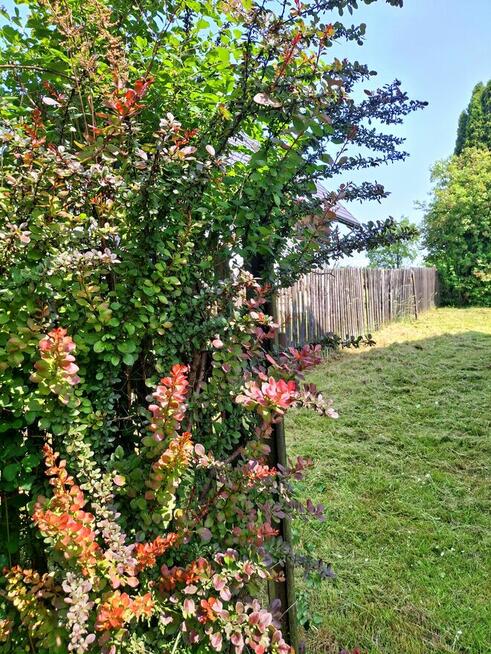 Dom w pięknej okolicy