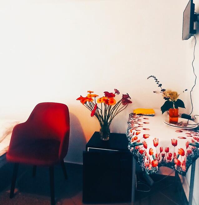 Pokój z łazienką. Gdańsk Sobieszewo.