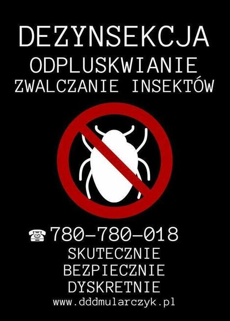 Dezynsekcja, odpluskwianie, pluskwy, prusaki