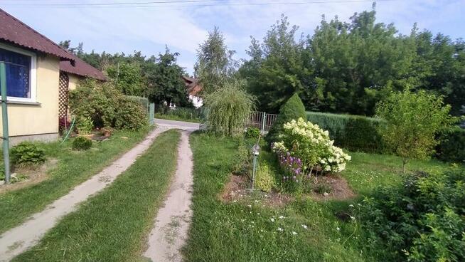 Gospodarstwo / działka budowlana z zabudowaniami / 2.1 ha