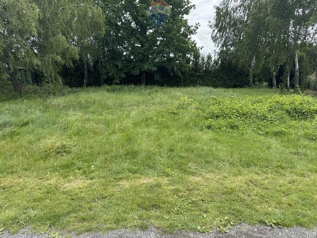 Atrakcyjna działka budowlana na sprzedaż w Żorach