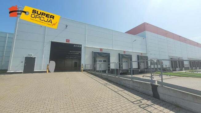 Lokal użytkowy Niepołomice,