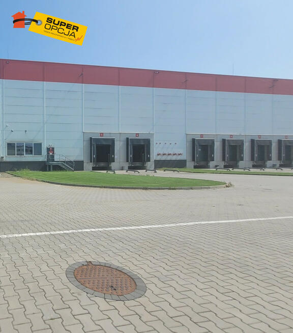 Lokal użytkowy Skawina,