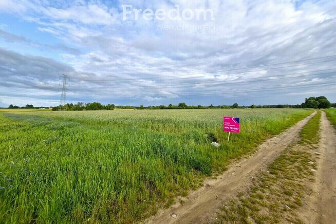 3,14 ha w jednym kawałku w Olszycu Szlacheckim