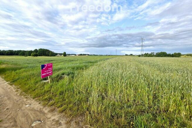 3,14 ha w jednym kawałku w Olszycu Szlacheckim