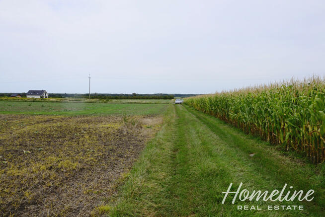 Działka budowlana Trzebnica,