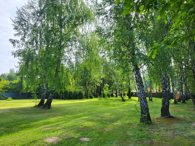 Działka siedliskowa Szymocice gm. Nędza