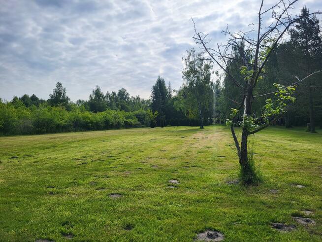 Działka siedliskowa Szymocice gm. Nędza