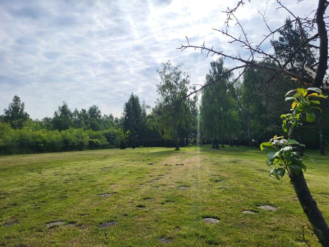 Działka siedliskowa Szymocice gm. Nędza