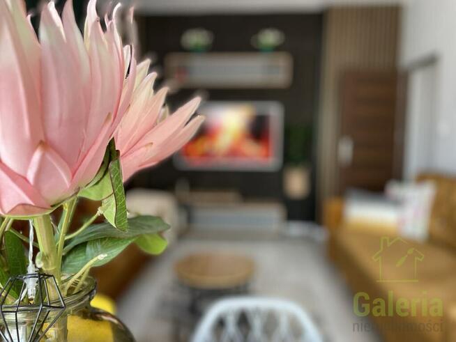 2- pokojowe "M" w centrum Szczecina, kamienica