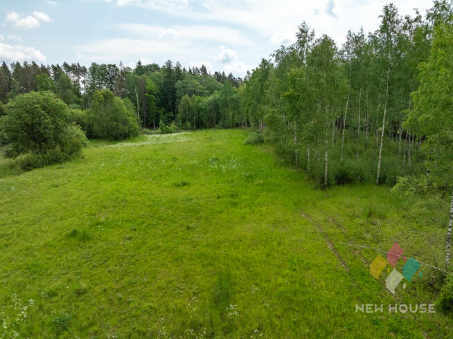 Działka z lasem 13 km od Olsztyna