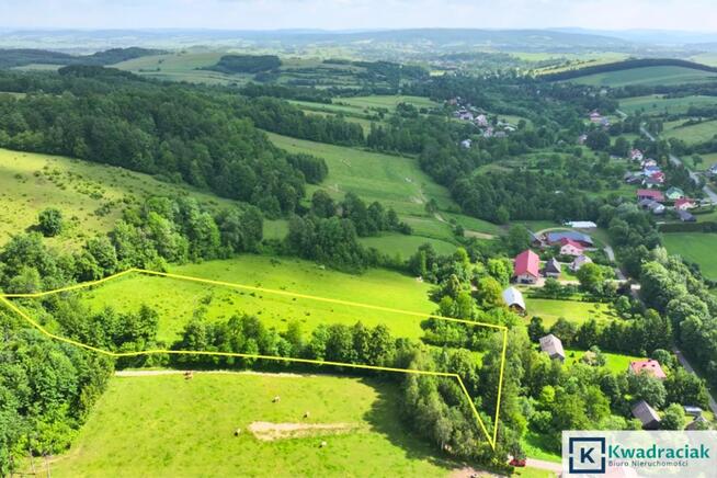 Działka rolna Pielnia gm. Zarszyn,