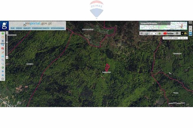 Działka leśna – idealna inwestycja w naturę